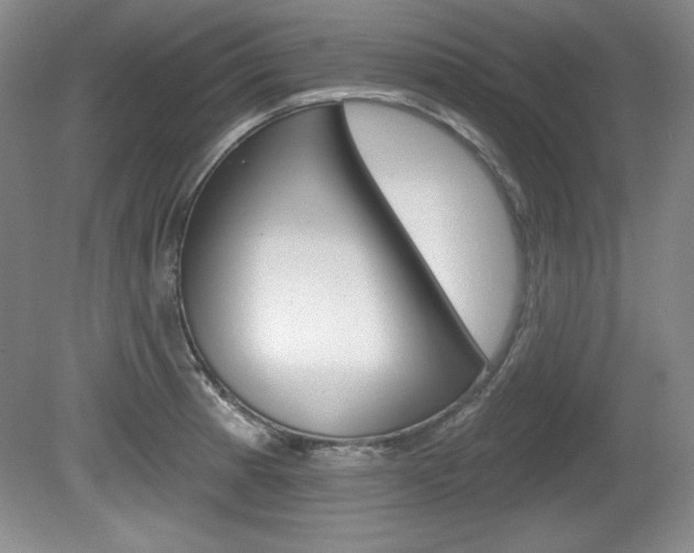 X0000080181185200612081126