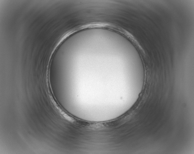 X0000080181186200612081126