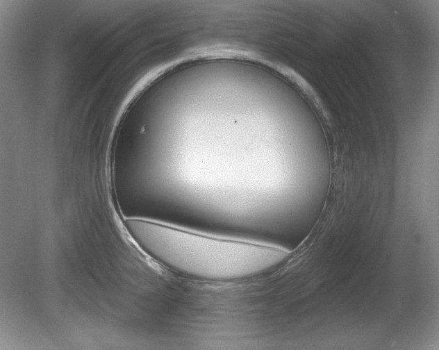 X0000080181191200612081126