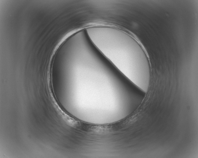 X0000080181195200612081126