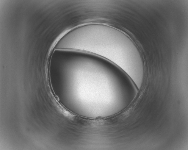 X0000080181196200612081126