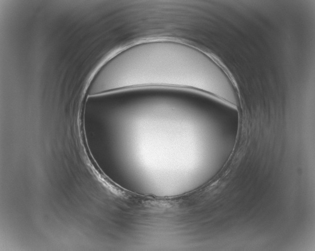 X0000080181197200612081126