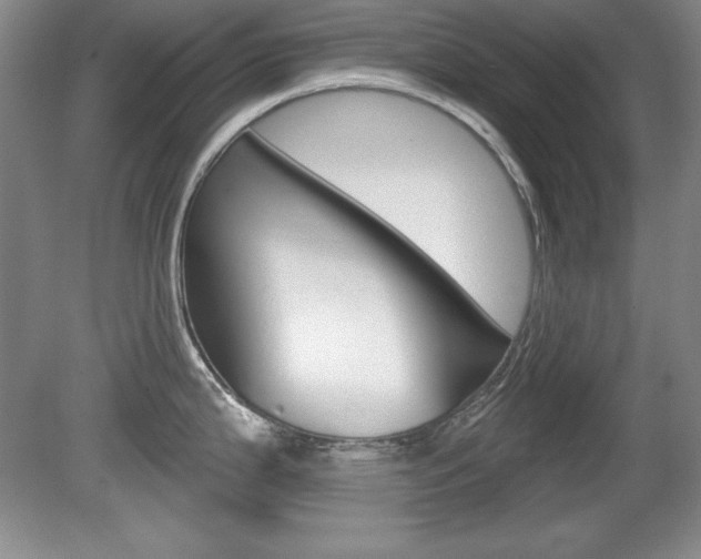 X0000080181199200612081126