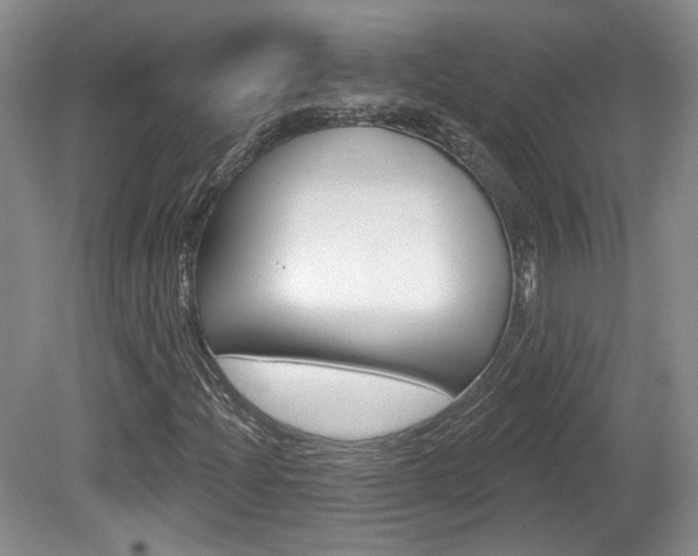 X0000080181204200612081125