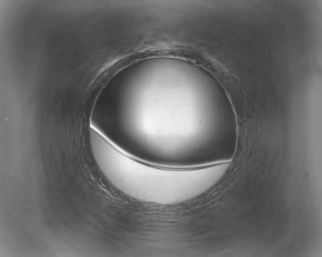 X0000080181206200612081125