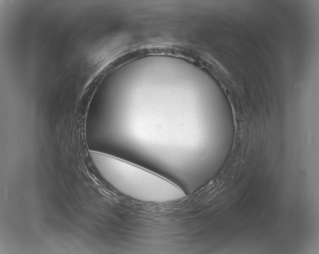 X0000080181208200612081125
