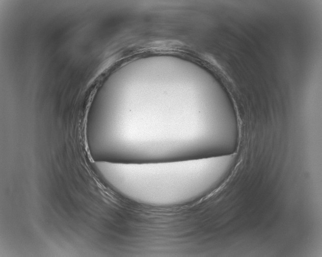X0000080181211200612081125