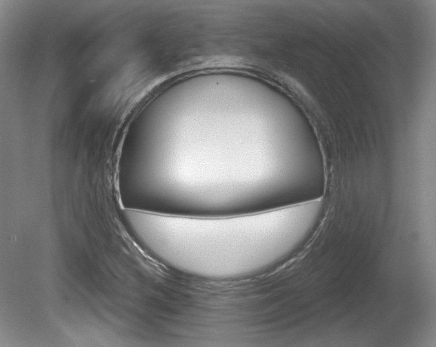 X0000080181212200612081125