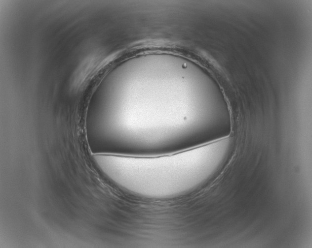 X0000080181213200612081125