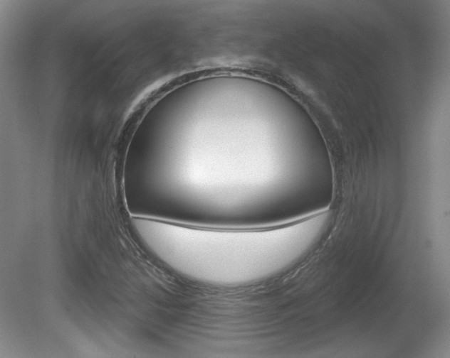 X0000080181214200612081125