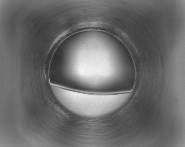 X0000080181218200612081125