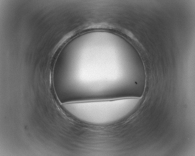 X0000080181221200612081125
