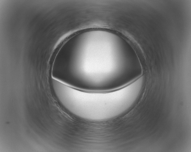 X0000080181222200612081125