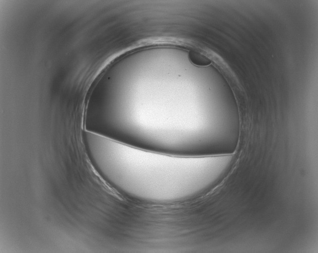 X0000080181228200612081125