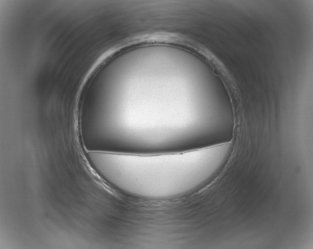 X0000080181232200612081125