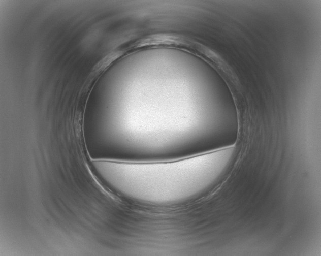 X0000080181233200612081125