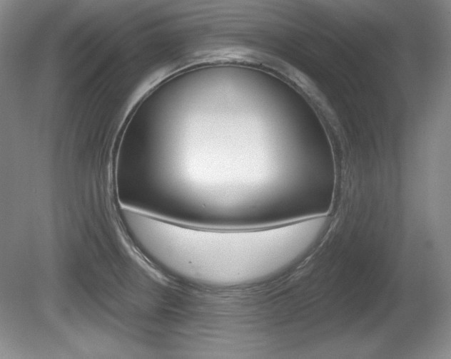 X0000080181234200612081125