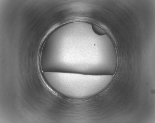 X0000080181235200612081125