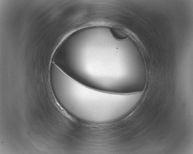X0000080181236200612081125