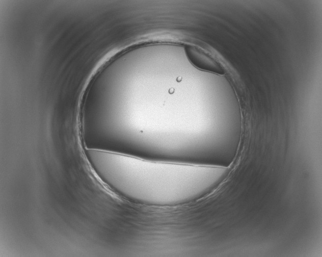 X0000080181240200612081125