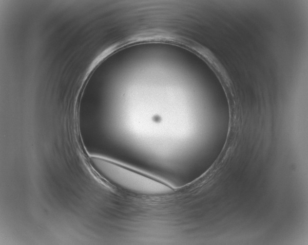 X0000080181242200612081125