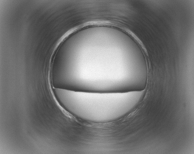X0000080181245200612081125