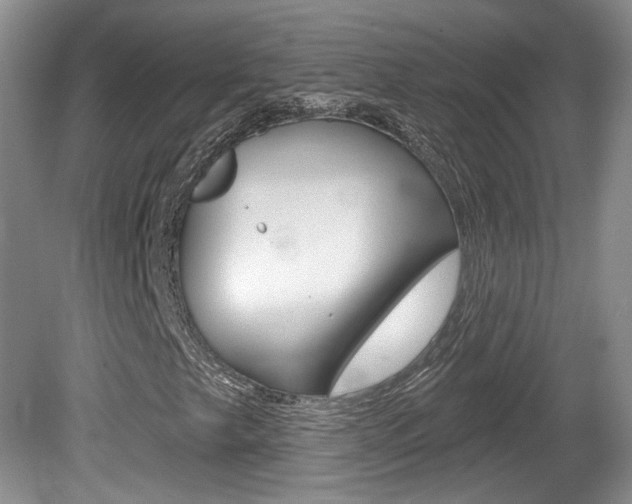 X0000080181249200612081125