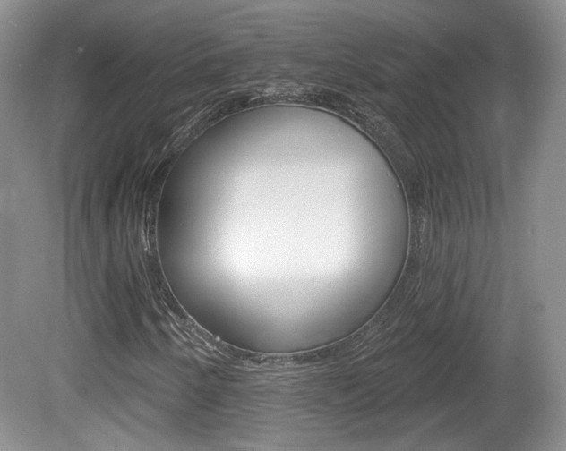 X0000080181250200612081125