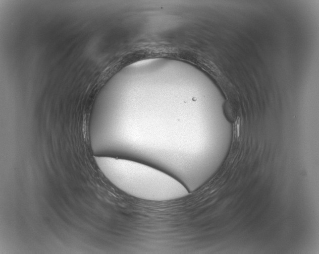X0000080181251200612081125