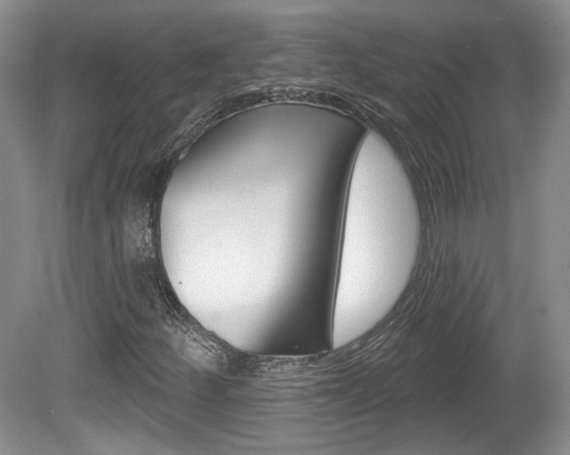 X0000080181252200612081125