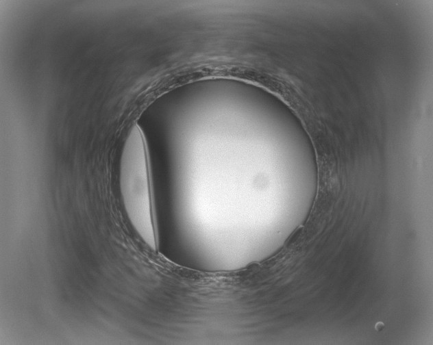 X0000080181253200612081125