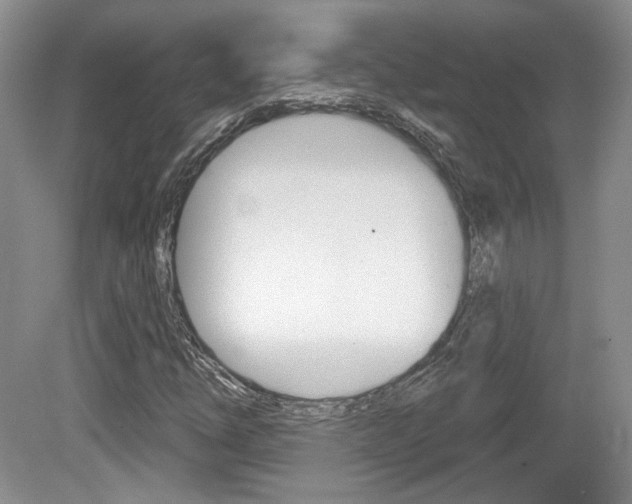 X0000080181254200612081125