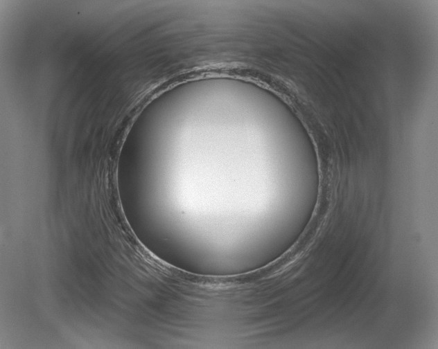 X0000080181257200612081125