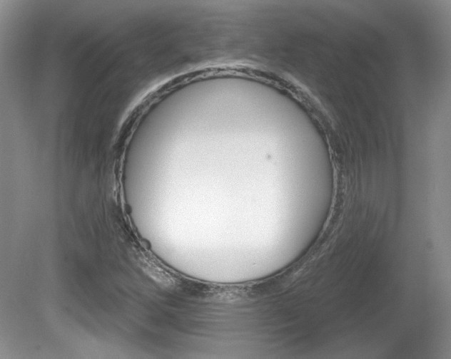 X0000080181262200612081124
