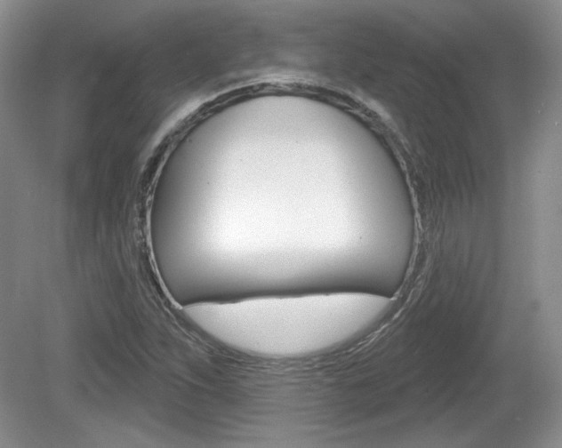 X0000080181263200612081124