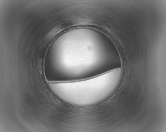 X0000080181265200612081124