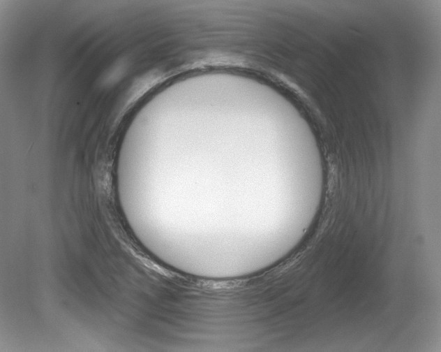X0000080181266200612081124