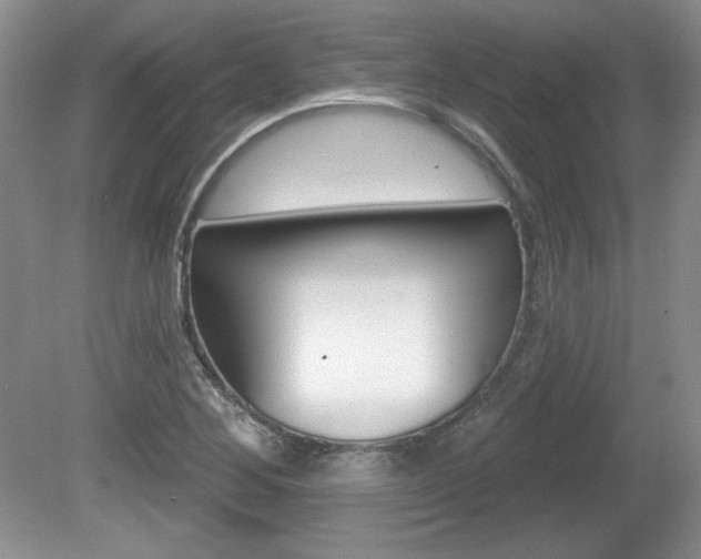 X0000080181268200612081124
