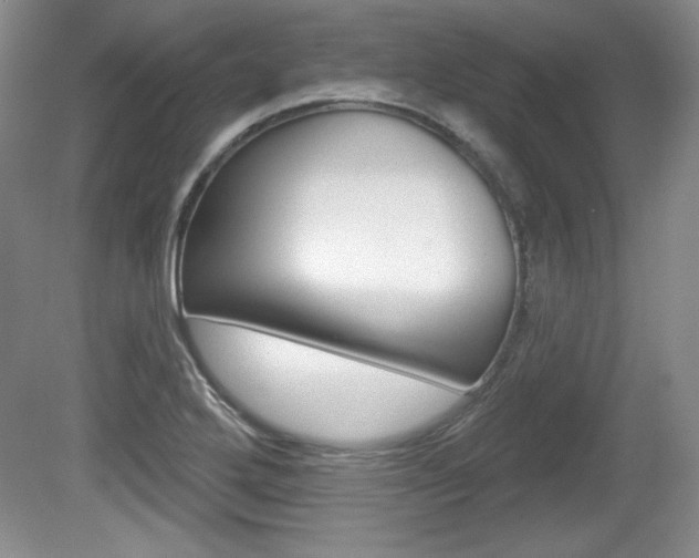 X0000080181272200612081124