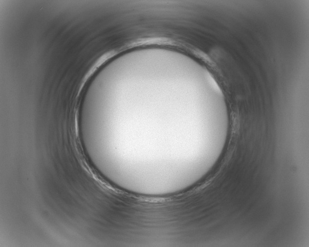 X0000080181274200612081124