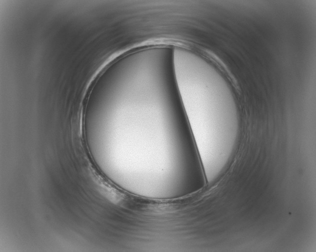 X0000080181276200612081124