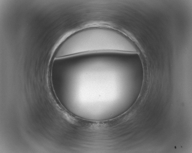 X0000080181277200612081124