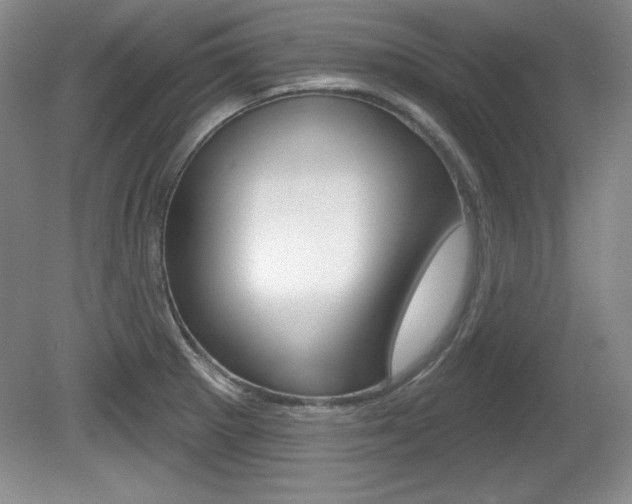 X0000080181281200612081124