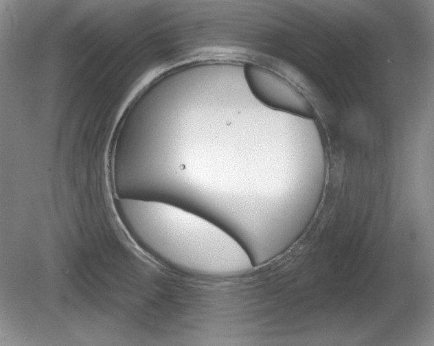 X0000080181283200612081124