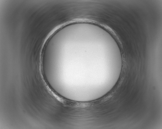 X0000080181286200612081124