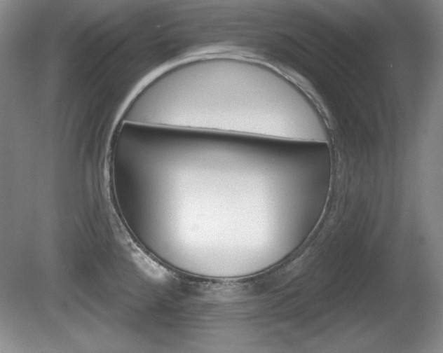 X0000080181288200612081124