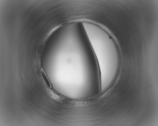 X0000080181289200612081124
