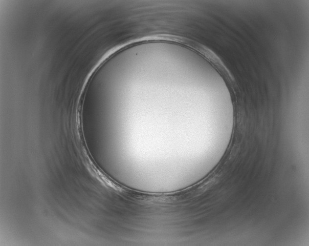 X0000080181292200612081124