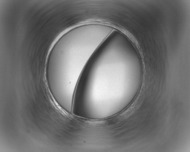 X0000080181296200612081124