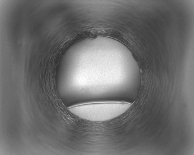 X0000080181297200612081123